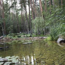 Искусственные водоёмы, пруды, каскады, ручьи, водопады ...