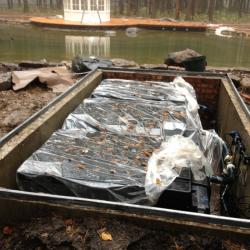 Аквариумные рыбки и беспозвоночные цены, купить в интернет ...