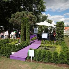Moscow Flower Show 2013 - сад "Лабиринт мечты" общий вид с декинга Moscow Flower Show 2013 - сад "Лабиринт мечты" общий перспективный вид
