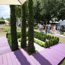 Moscow Flower Show 2013 - сад "Лабиринт мечты", туи формы карандаша