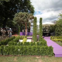 Moscow Flower Show 2013 - сад "Лабиринт мечты", туя смарагд - циллиндрическая форма карандаш