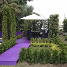 Moscow Flower Show 2013 - сад "Лабиринт мечты", деккинг окрашен в цвет цветка рододендрона катавбинского "Grandiflorum" Moscow Flower Show 2013 - сад "Лабиринт мечты", декинг выкрашен в цвет цветка рододендрона катавбинского "Grandiflorum"