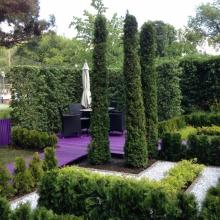 Moscow Flower Show 2013 - сад "Лабиринт мечты", лабиринт из туи Moscow Flower Show 2013 - сад "Лабиринт мечты", лабиринт из туи и карандаши