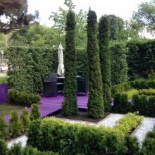 Moscow Flower Show 2013 - сад "Лабиринт мечты", лабиринт из туи и карандаши