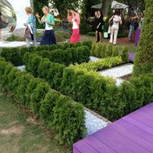 Moscow Flower Show 2013 - сад "Лабиринт мечты" лабиринт Moscow Flower Show 2013 - сад "Лабиринт мечты" садовый лабиринт