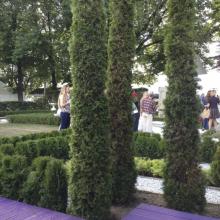 Moscow Flower Show 2013 - сад "Лабиринт мечты", туя смарагд - карандаши