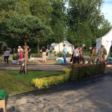 Высокие деревья в саду Высокие деревья