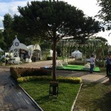 Крупное дерево Дерево крупномер
