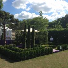 Moscow Flower Show 2013 - сад "Лабиринт мечты", общий вид с лабиринта