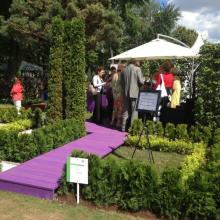 Moscow Flower Show 2013 - сад "Лабиринт мечты", высокое жюри совещается под зонтом