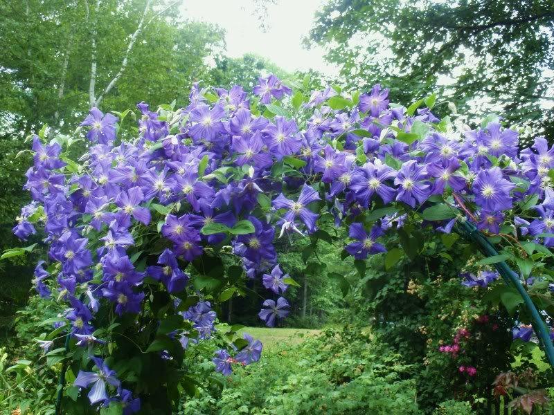 Порно анасы мен қызы Sexotur.ru