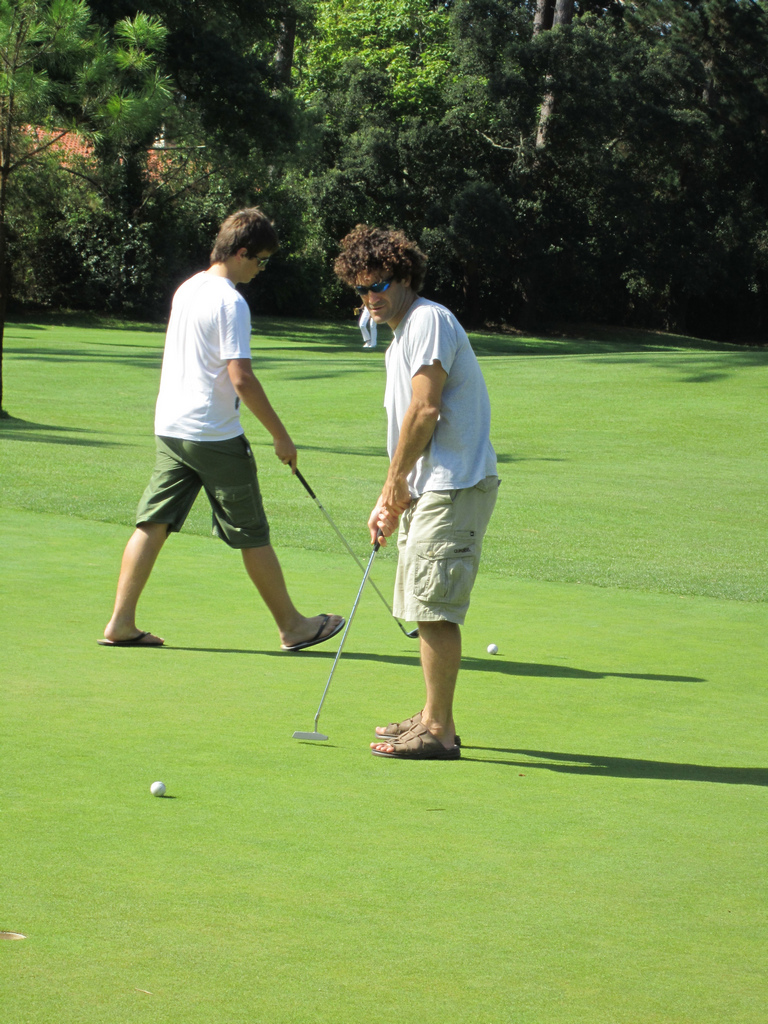 Поля для мини-гольфа: особенности устройства и ухода