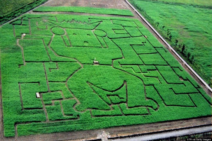 В Тайване создали свой колоритный зеленый лабиринт из сахарного тростника