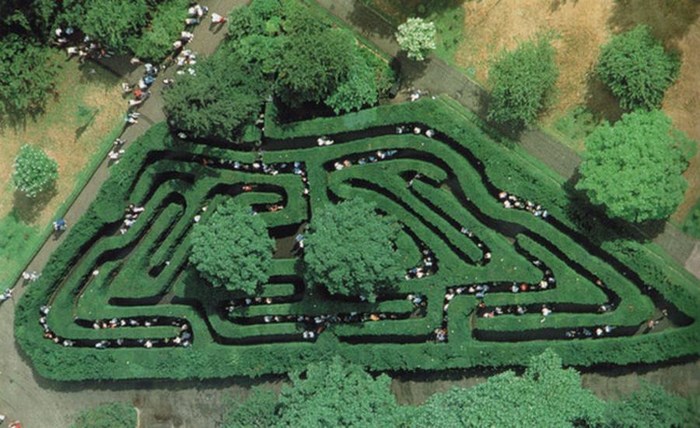 Знаменитый зеленый лабиринт Hampton Court Maze